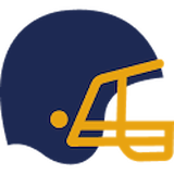 Lions logo