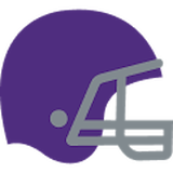 Bears logo