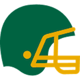 Lions logo