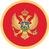 Todorovic logo