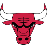 Bulls logo