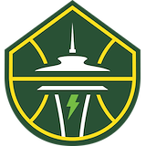Storm logo