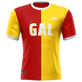Galatasaray logo